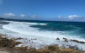 Beau studio proche de la mer